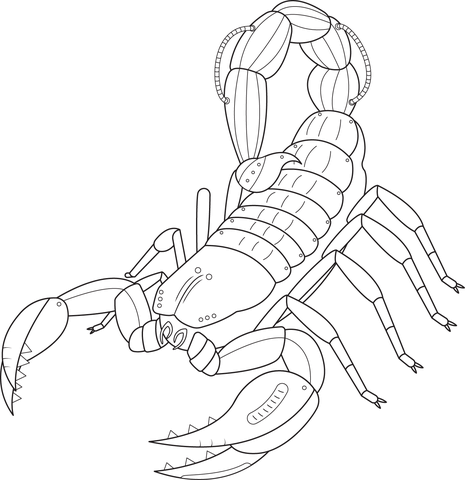 Steampunk Scorpio Coloring Page